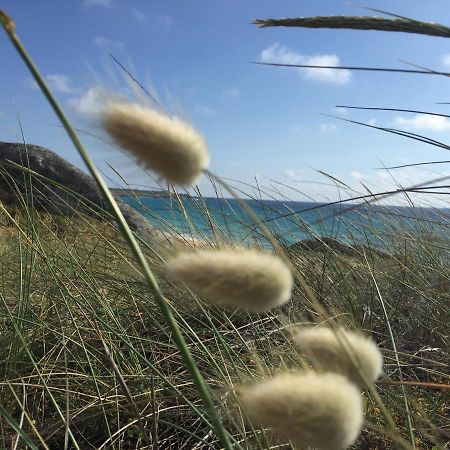 Carola L, "Apartamento De Lujo A 100M Playa Catia" Ribeira Bagian luar foto
