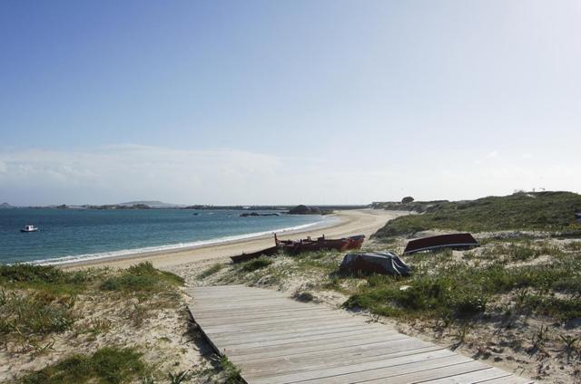 Carola L, "Apartamento De Lujo A 100M Playa Catia" Ribeira Bagian luar foto